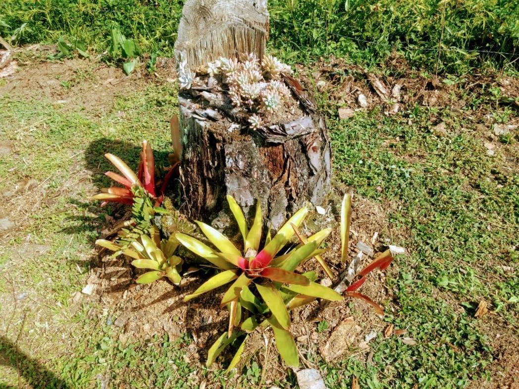 Chale Vale Das Flores - Visconde De Maua Rj Exterior foto